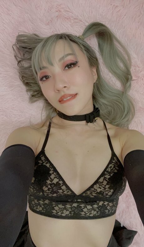 Stellewds