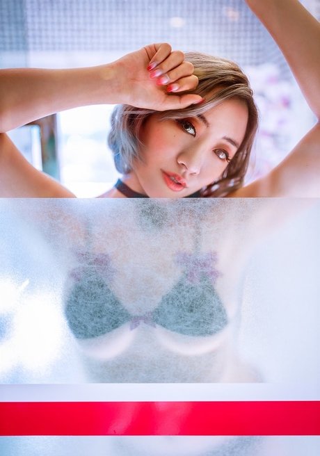 Stellewds