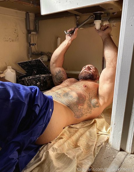 Thebritishbear1