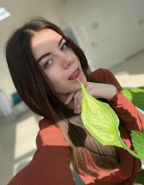 Katewank