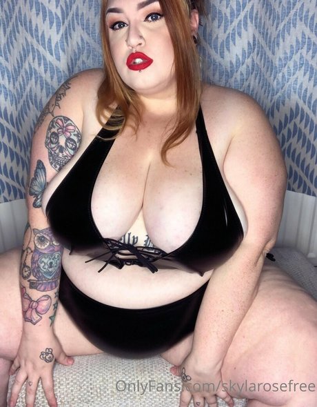 Nahá fotka uniklých OnlyFans od Skylarosefree