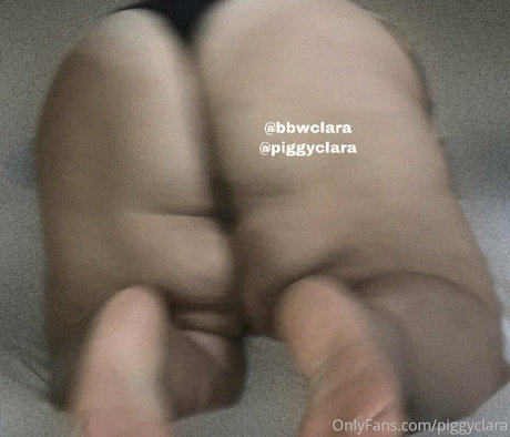 Piggyclara
