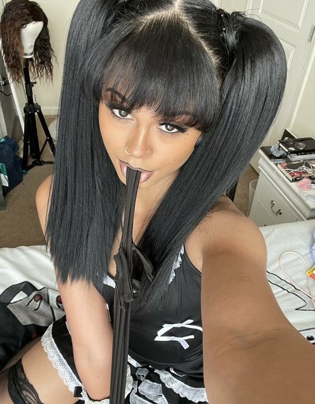 Kittysprive