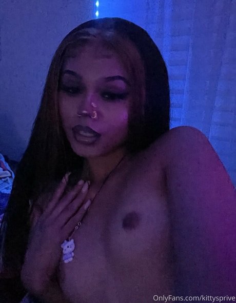Kittysprive