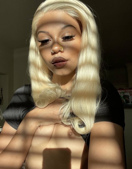 Kittysprive