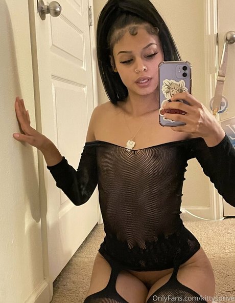 Kittysprive
