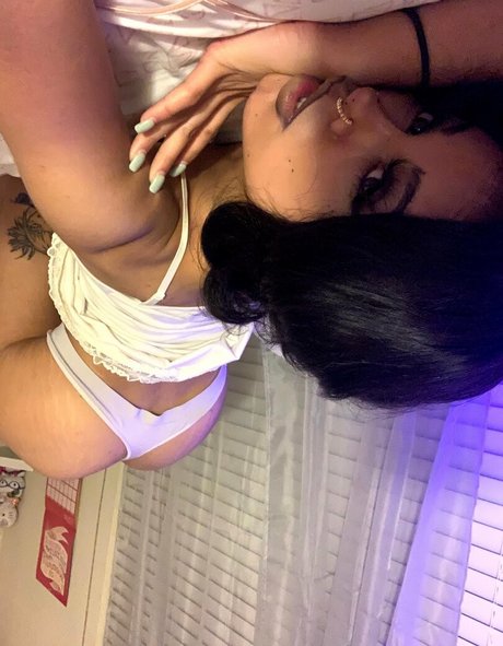 Kittysprive