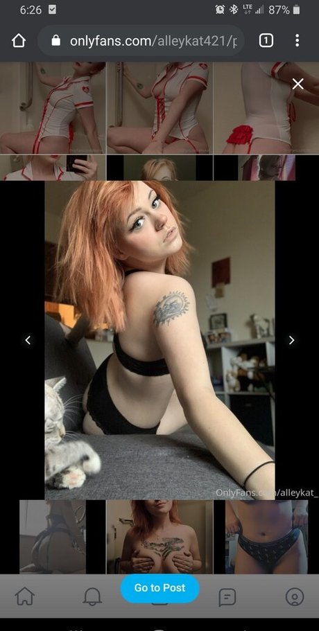 Alleykat421