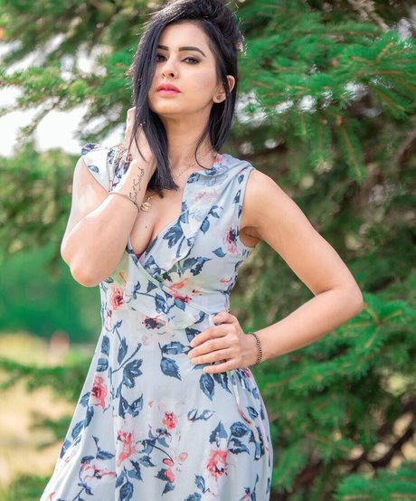 Meetii Kalher