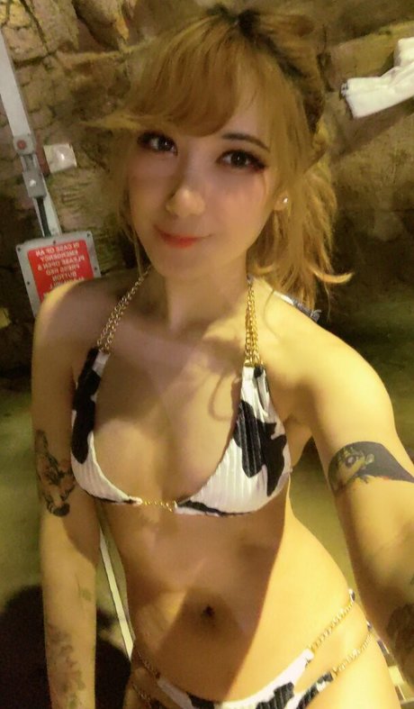 Nyaomaruu