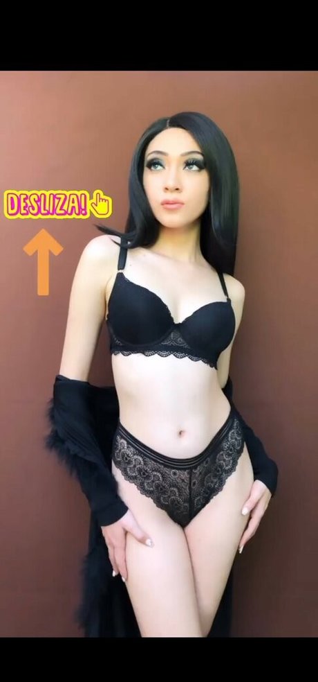 Lizsol