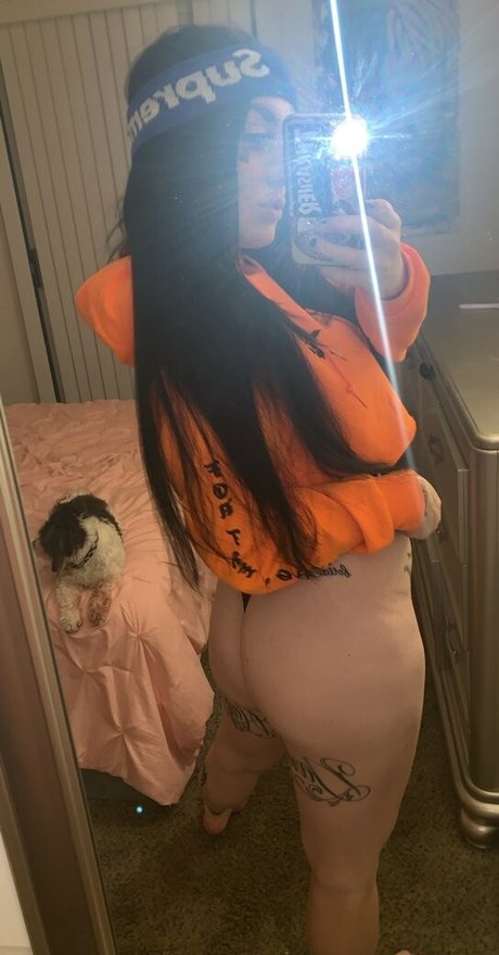 Courtdaplug