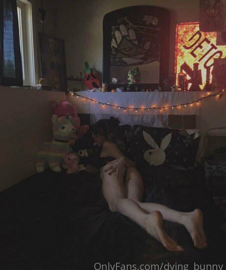 Dyingbunny