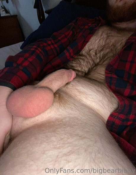 Bigbearbiboy