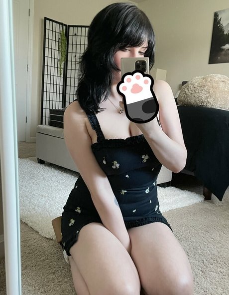 Hiso Neko