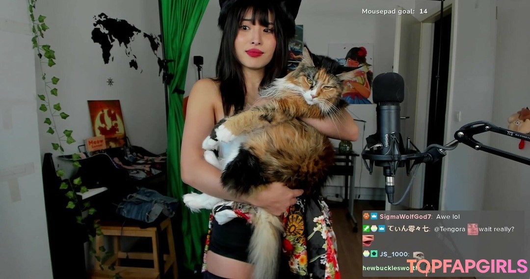 Meowko nude leaked OnlyFans photo #1538