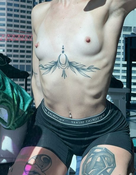 Paigecams