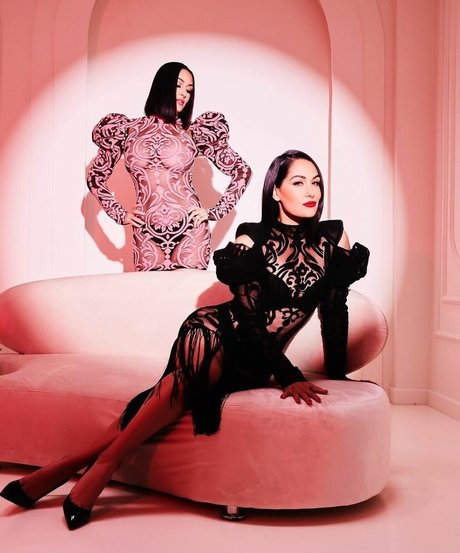 The Bella Twins