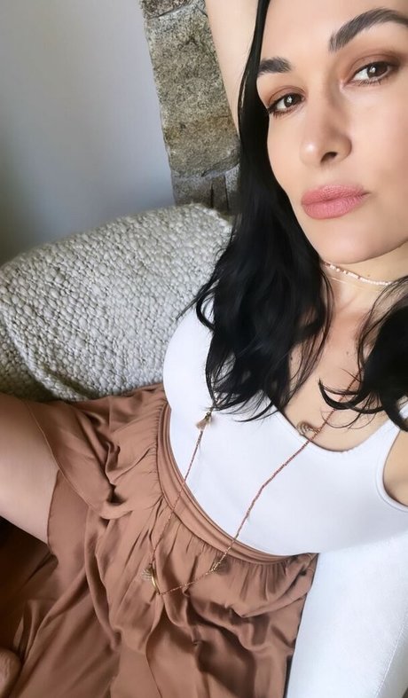 The Bella Twins