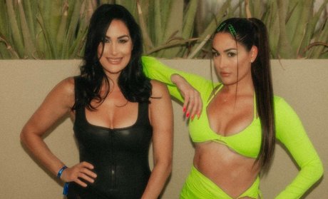 The Bella Twins: