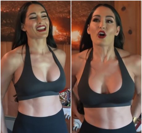 The Bella Twins