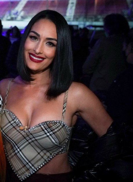 The Bella Twins