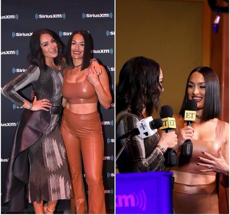 The Bella Twins