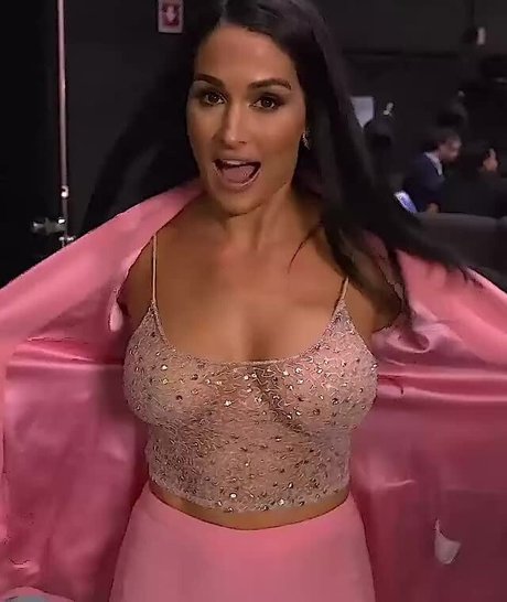 The Bella Twins  nude leaked OnlyFans photo