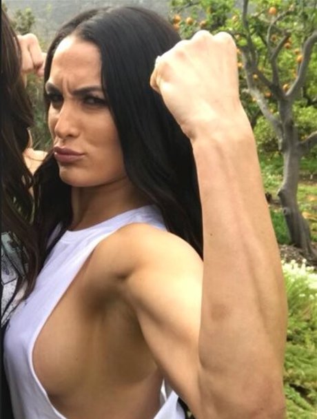 Nøgent lækket OnlyFans-billede af The Bella Twins