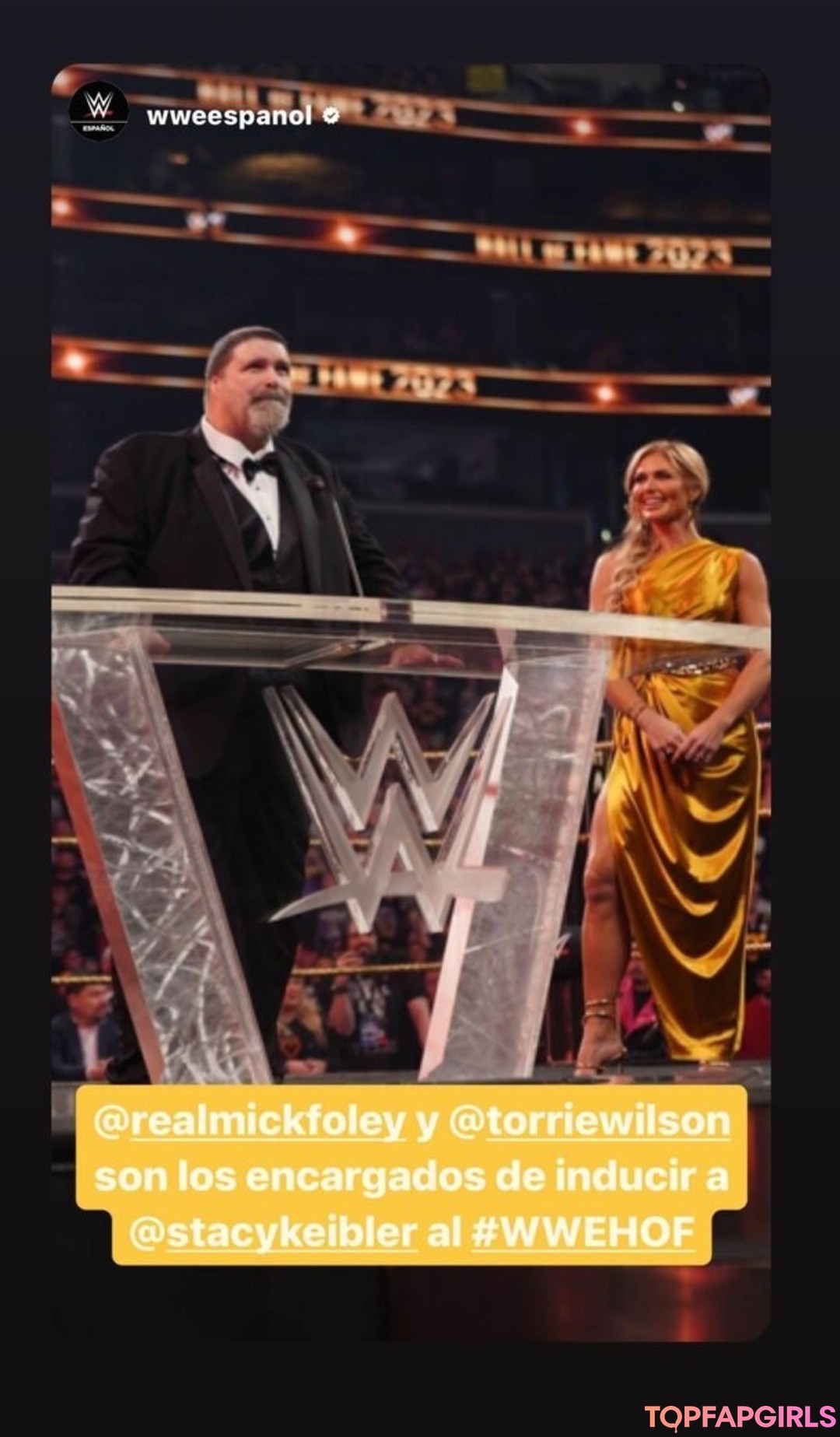 Nahá fotka uniklých OnlyFans od Torrie Wilson #1459