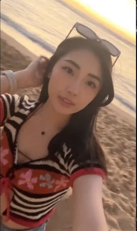 Xchocobars