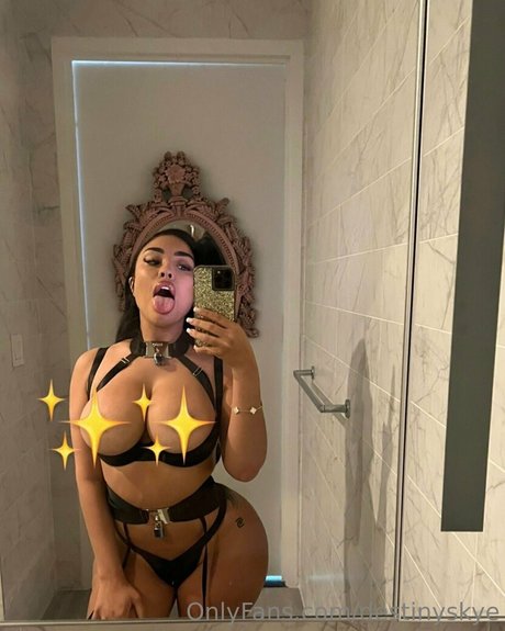 Destinyskye