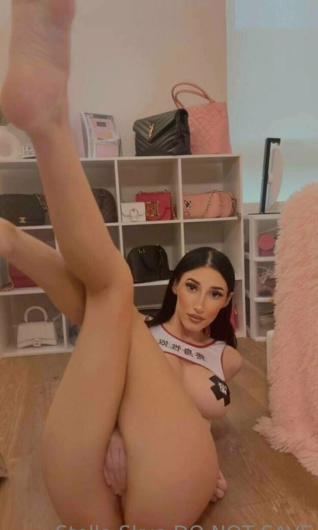 Vipstellaskye