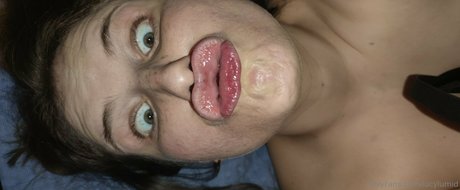 Lucylumid