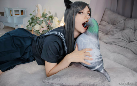 Siasiberiafree