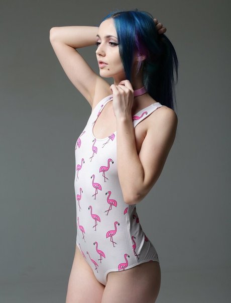 Siasiberiafree