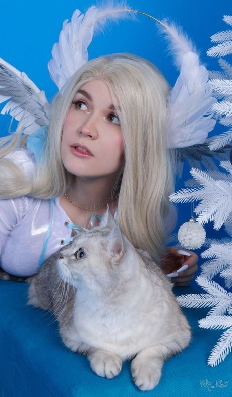 Asmr Kittyklaw