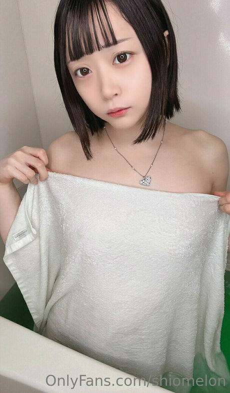 Shiomelon
