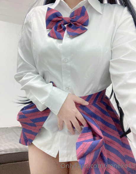 Imneko13