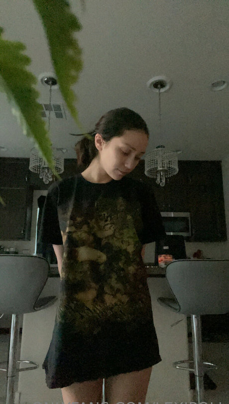 Lexipoll