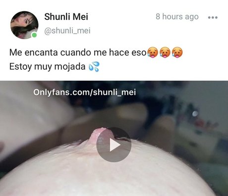 Shunli Mei