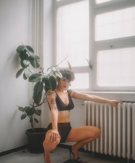 Missladybug