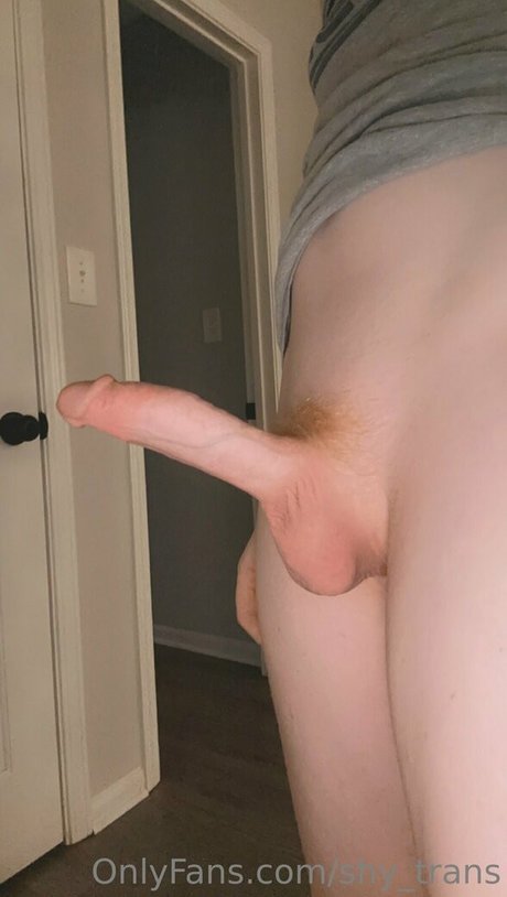 Shytrans  nude leaked OnlyFans photo