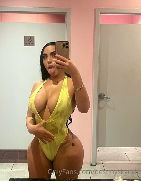 Destinyskyevip