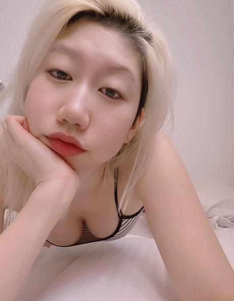 Danisaurz