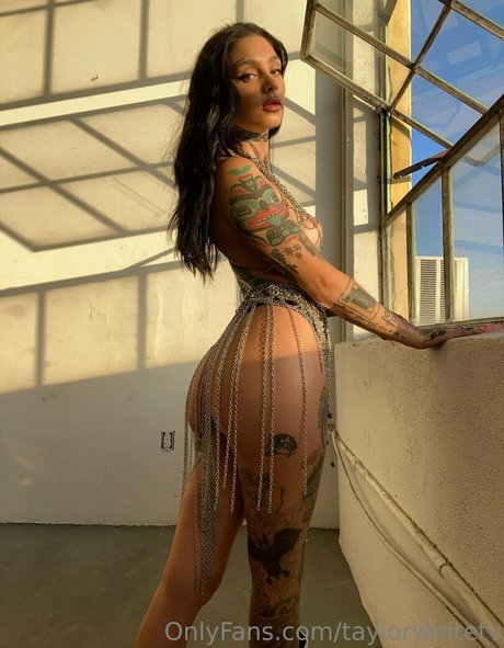 Taylor White