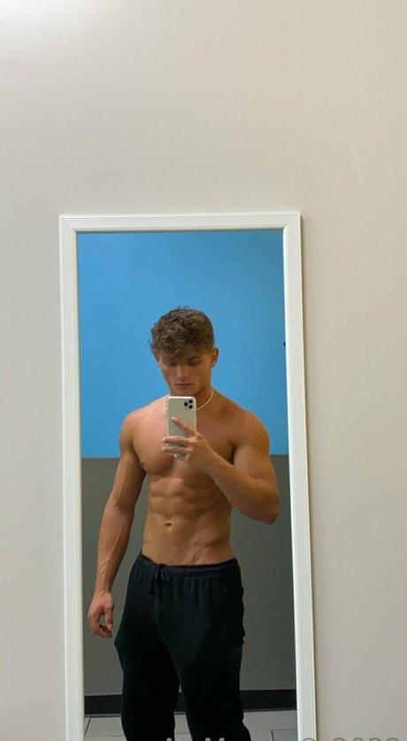 Taylorsfree