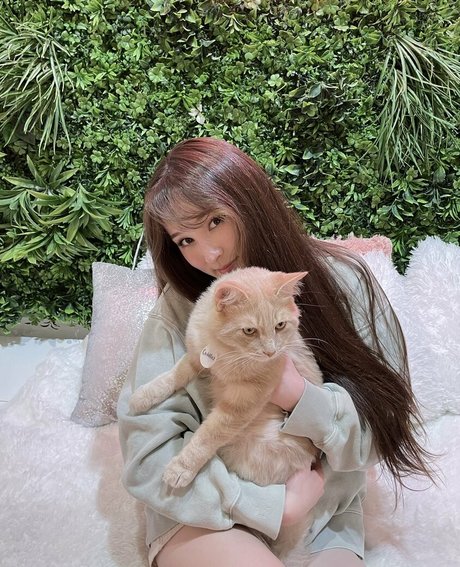 Tinakitten