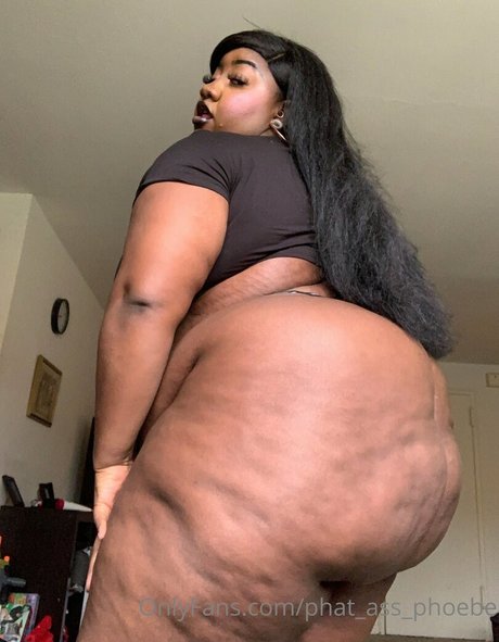 Phatassphoebe