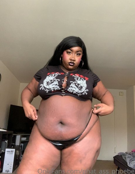 Phatassphoebe